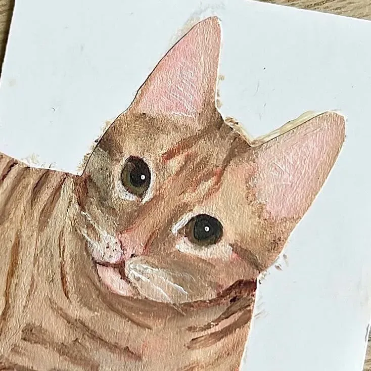 Cat